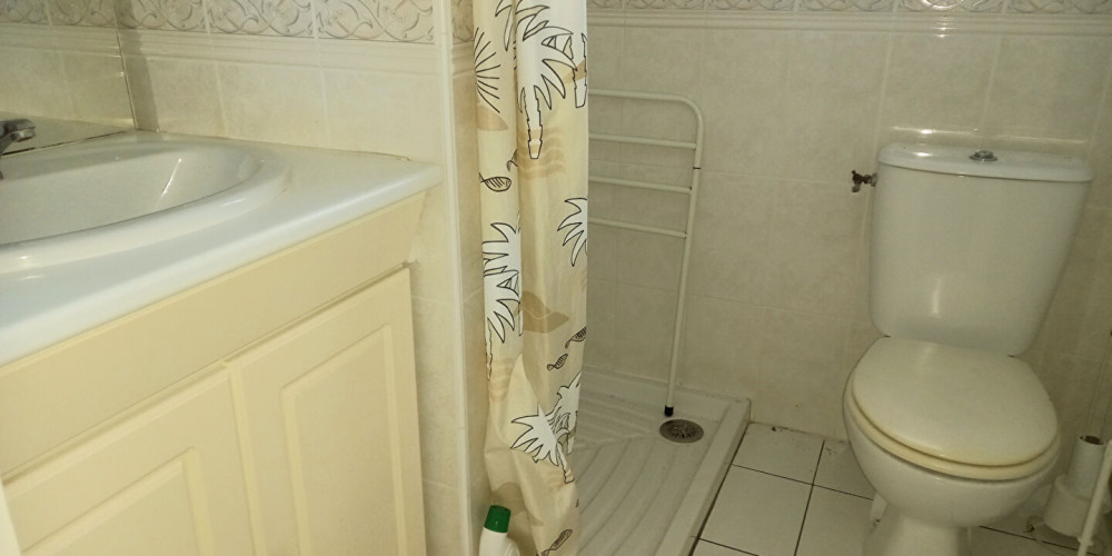 maison à ST SEURIN SUR L ISLE (33660)